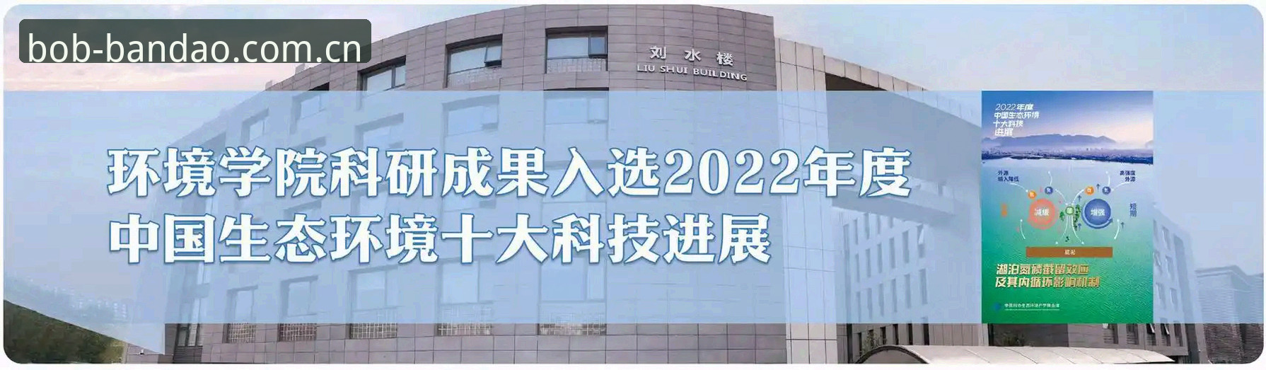 2024年半岛bob官方下载入口深度评测：安全性与便捷性全面分析